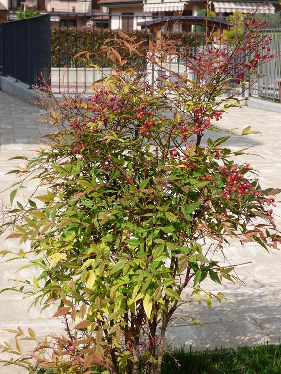Giravento Bed & Breakfast Borgo San Dalmazzo Bagian luar foto
